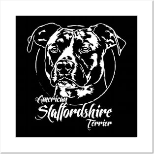 American Staffordshire Terrier dog portrait Posters and Art